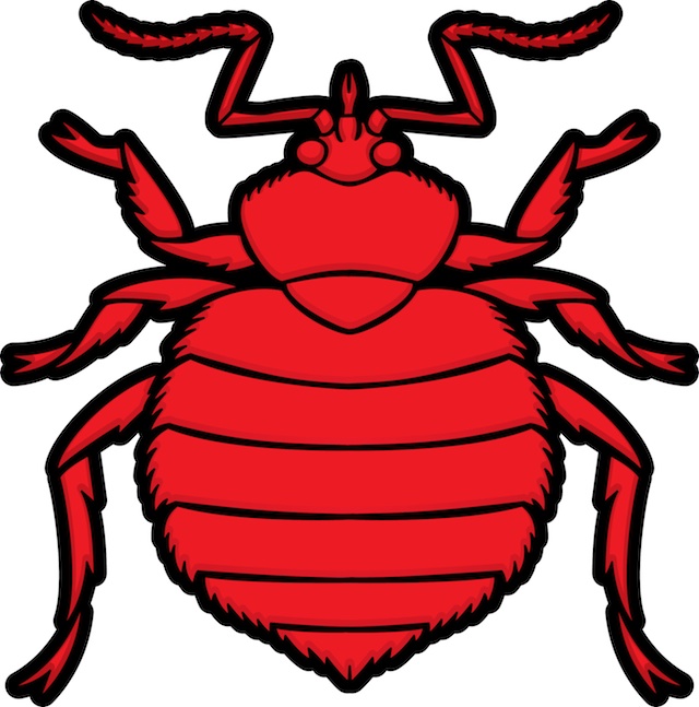 Bed Bug Photos, Clipart Images & Pics: What do Bed Bugs Look Like?