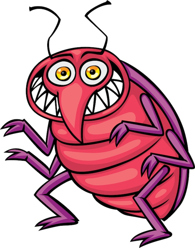 Bed Bug Photos, Clipart Images & Pics: What do Bed Bugs Look Like?