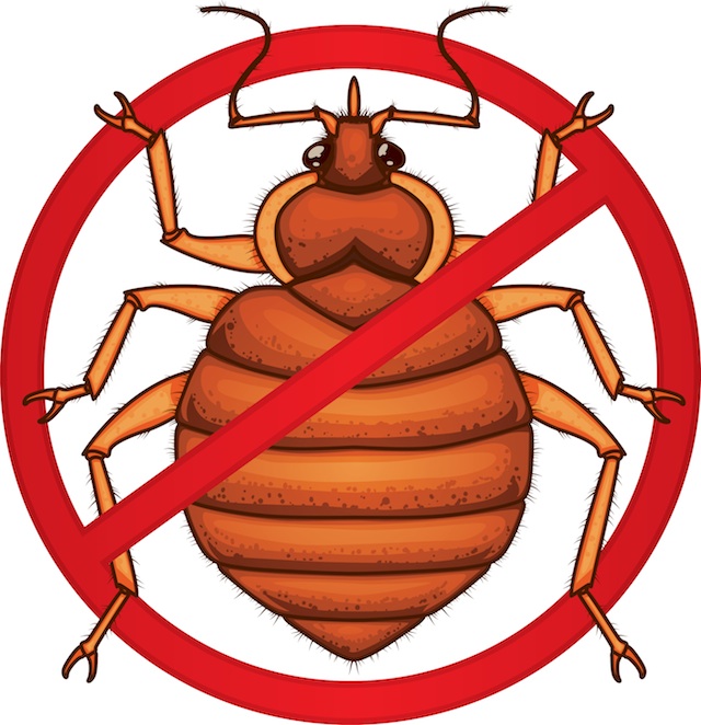 Bed Bug Clip Art