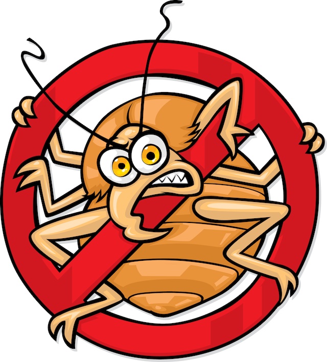 Bed Bug Photos, Clipart Images & Pics: What do Bed Bugs Look Like?
