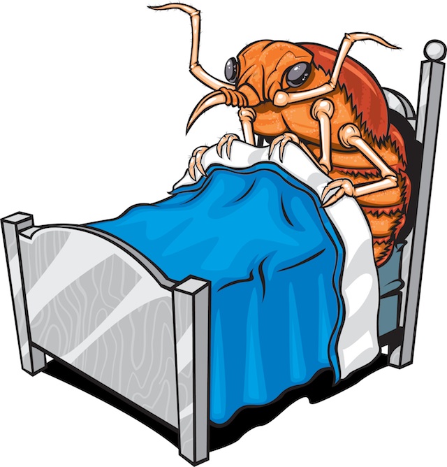 don't let the bed bugs bite.